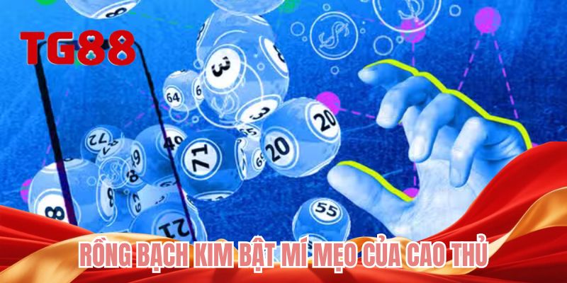 Rồng bạch kim bật mí mẹo của cao thủ