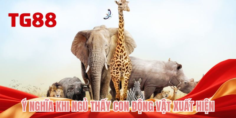 Ý nghĩa khi ngủ thấy con động vật xuất hiện